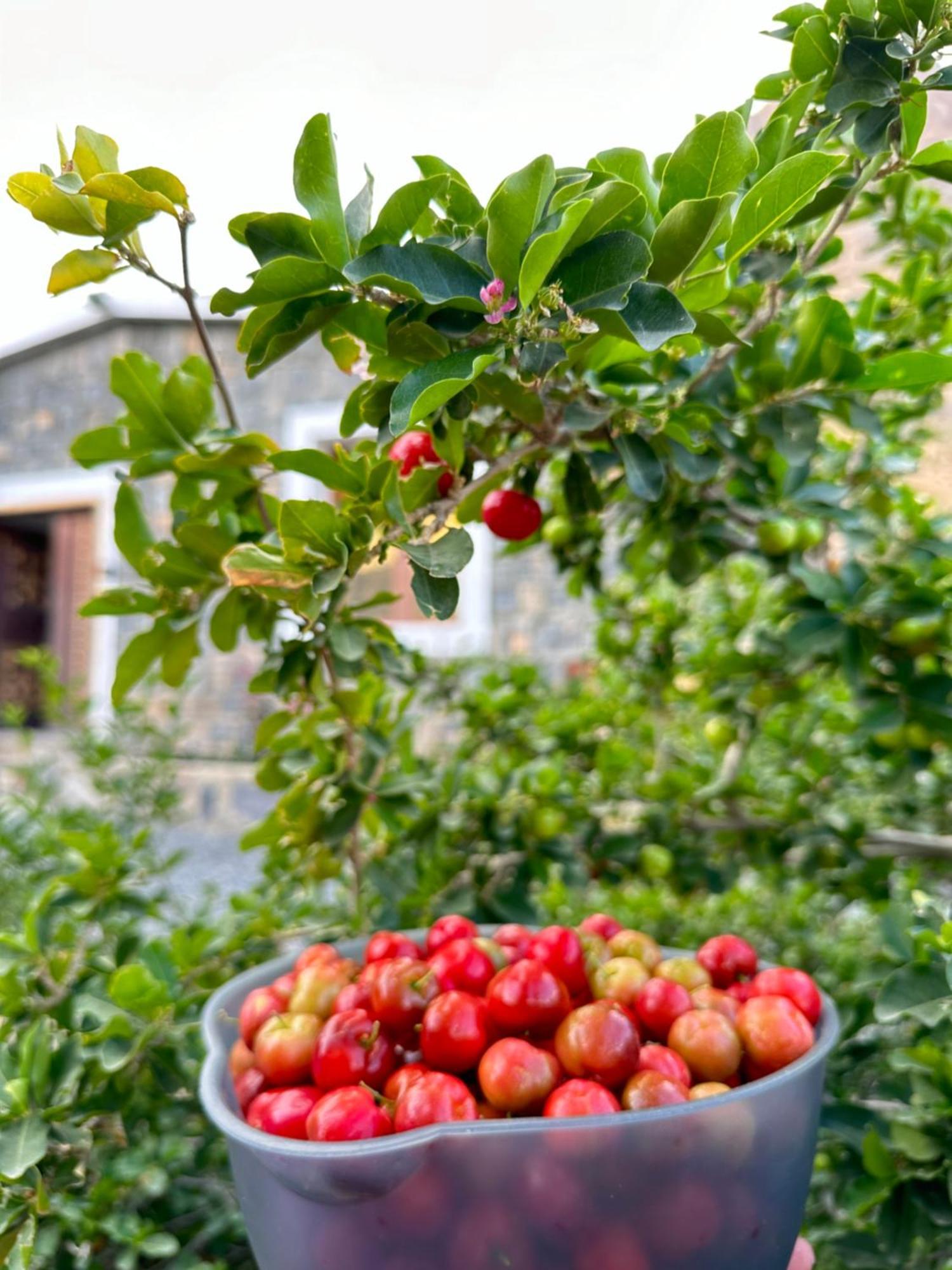 Jabal Shams Villa Saab Bani Khamis Zewnętrze zdjęcie